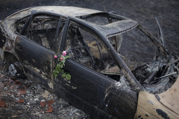 Roses were placed on the remains of a car in which a woman was killed after going off the road in the village of Nodeirinho, near Pedrogao Grande, central Portugal, on Monday. — AP