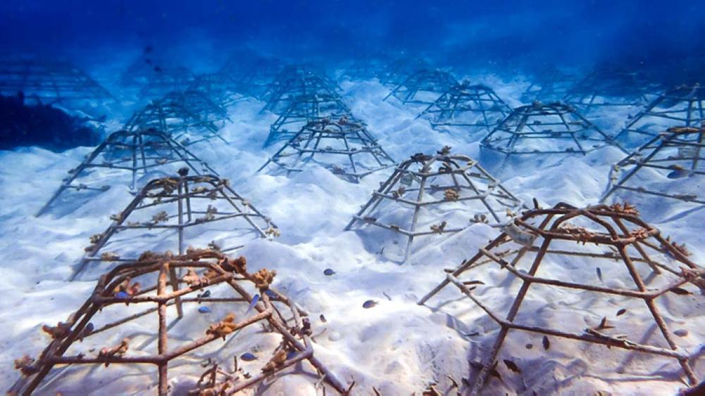 Environmental and 
community projects