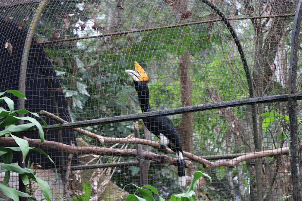 Experience the Wildlife at Pasuruan, East Java