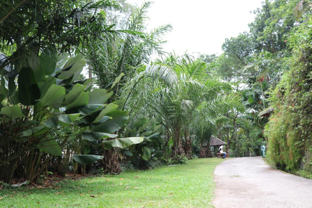 Experience the Wildlife at Pasuruan, East Java