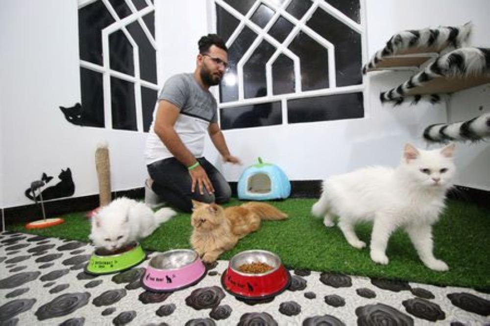 Veterinary student Ahmed Taher Maki is seen with cats at his cat hotel in Basra, Iraq on Sunday. - Reuters
