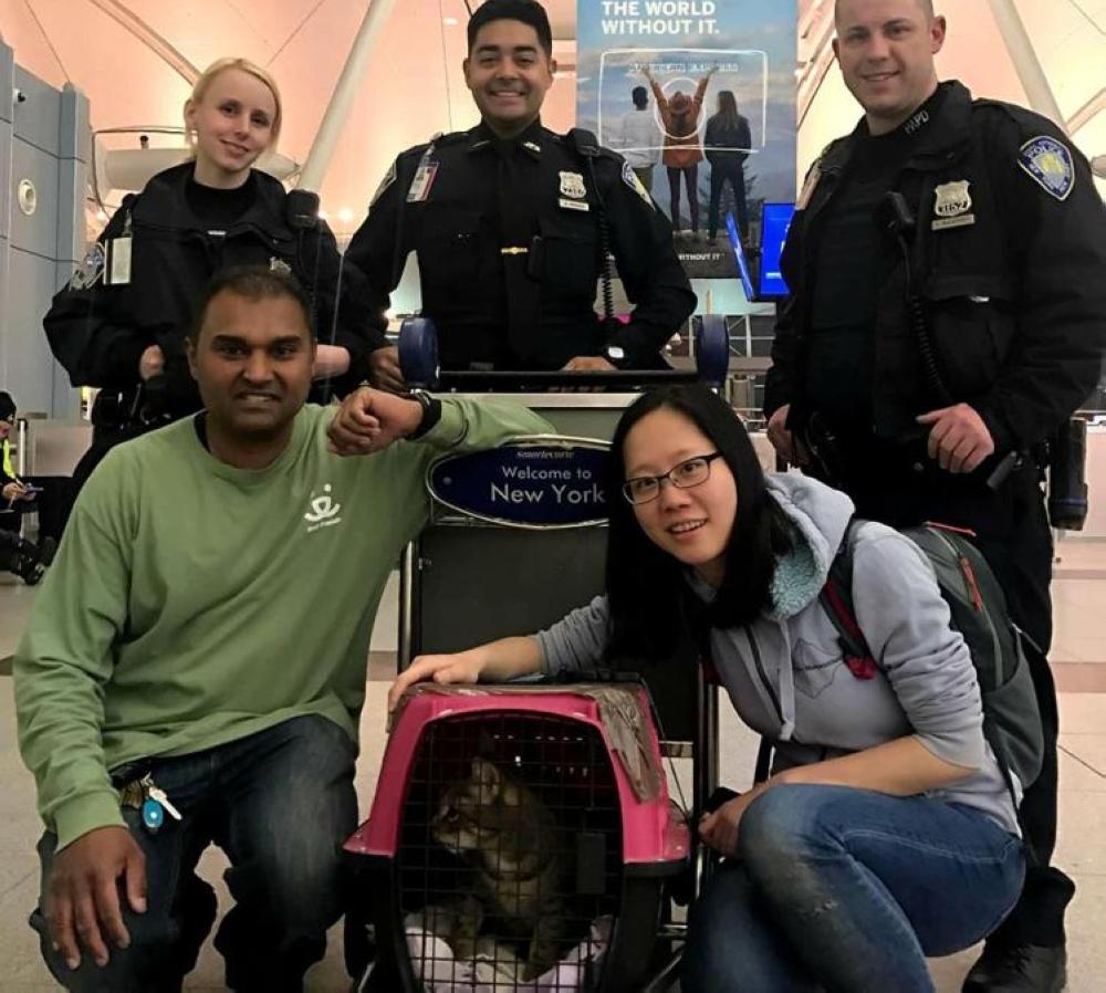Pepper the cat is seen in her cage at New York's John F. Kennedy International Airport on Sunday. - AP