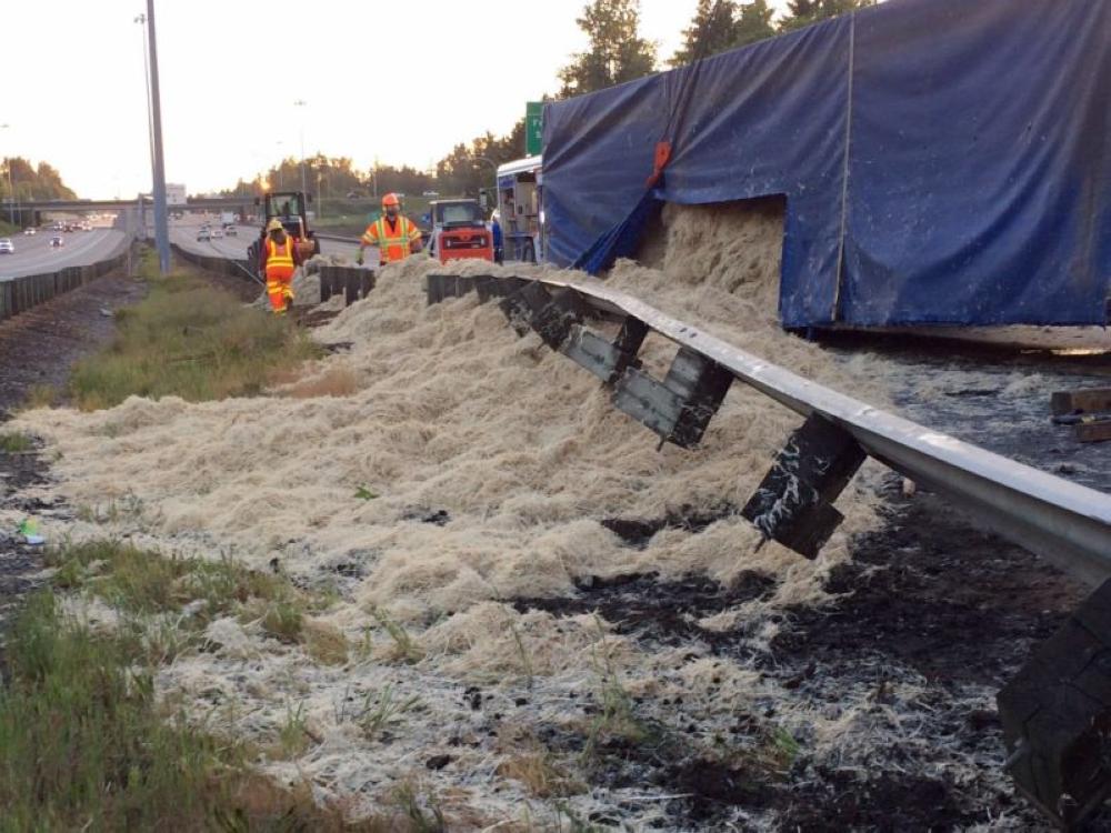 In this photo provided by KOMOnews.com, chicken feathers cover the ground alongside Interstate 5 in Federal Way, Washington on Sunday. A tractor-trailer made a fowl mess when it rolled over, dumping about 18 tons of chicken feathers across the freeway. - AP
