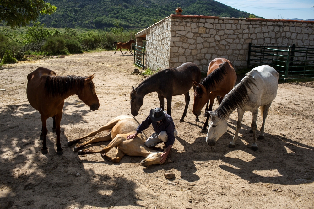 Fernando Noailles, emotional therapist, caresses one of his horses in Guadalix de la Sierra, outside Madrid, Spain. Noailles uses his animals to help people suffering from stress and anxiety. - Reuters