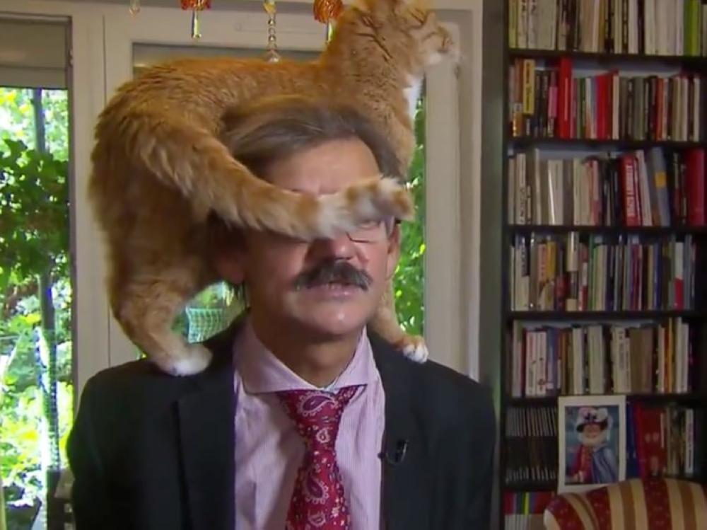 This videograb taken from Dutch TV shows Jerzy Targalski, a historian from Poland, during an interview as his cat climbs onto his shoulders.