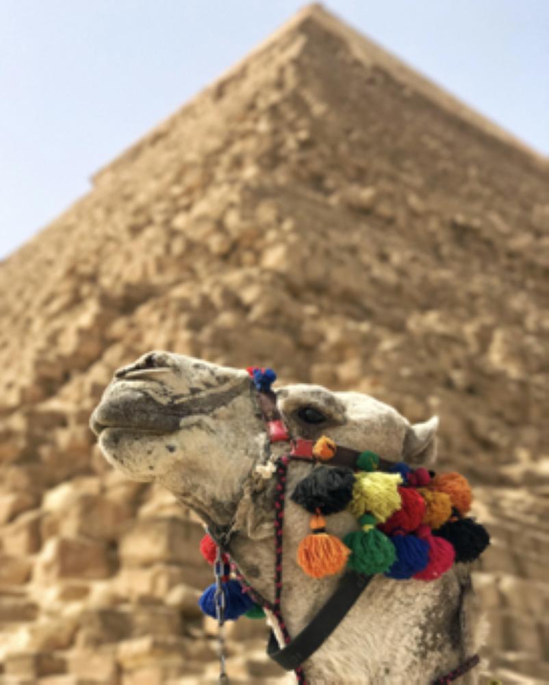 How to take the best photos on your summer trip