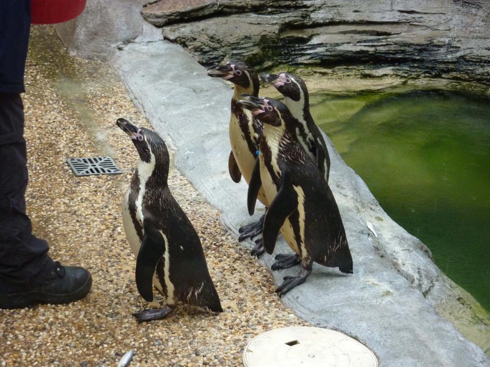 Explore Longleat