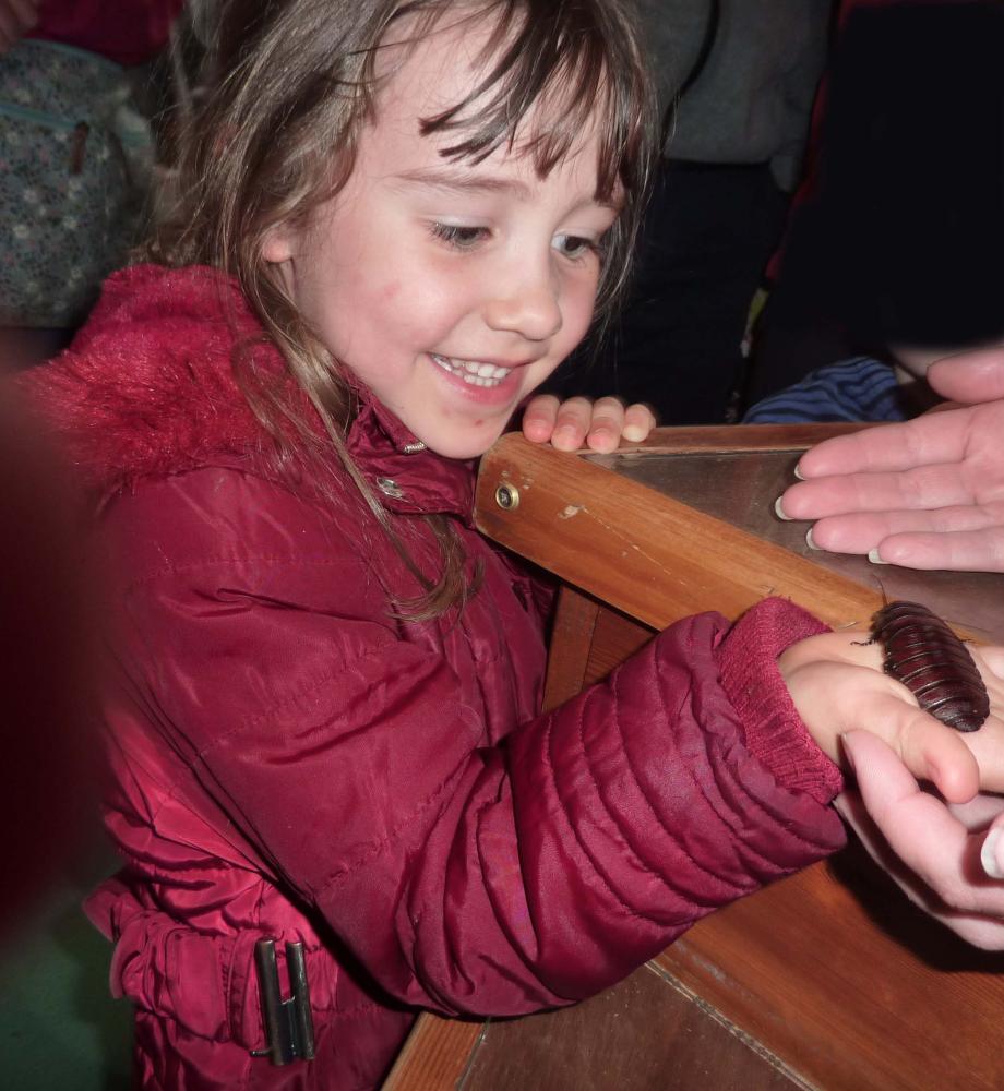 Explore Longleat