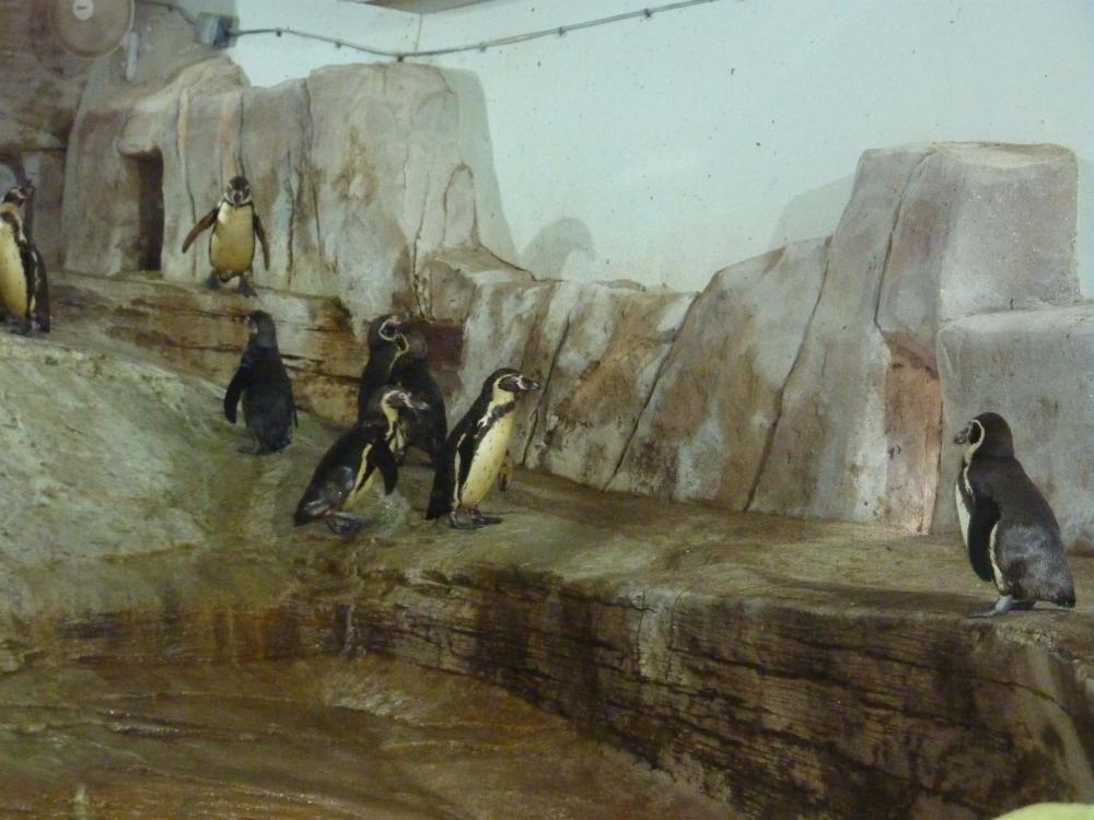 Explore Longleat