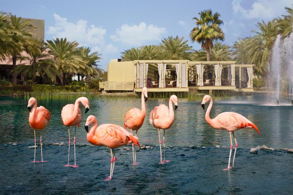 Spend The Weekend At The Ritz-Carlton, Bahrain