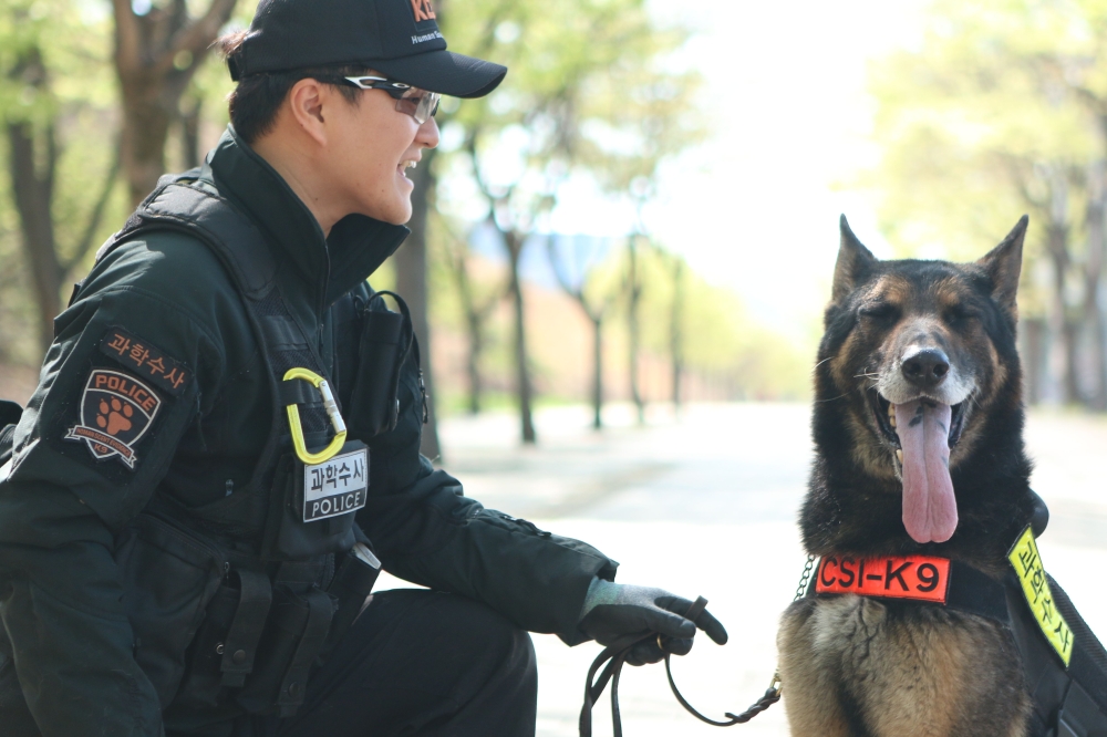 An undated handout photo released on Aug. 29, 2018 by the Daegu Metropolitan Police Agency, shows police dog handler Ahn Seong-heon with Larry, a seven-year-old German shepherd police dog killed in the line of duty. - AFP