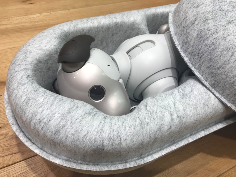 Sony's robot dog Aibo in its package is pictured during a photo opportunity in Tokyo, Japan. — Reuters
