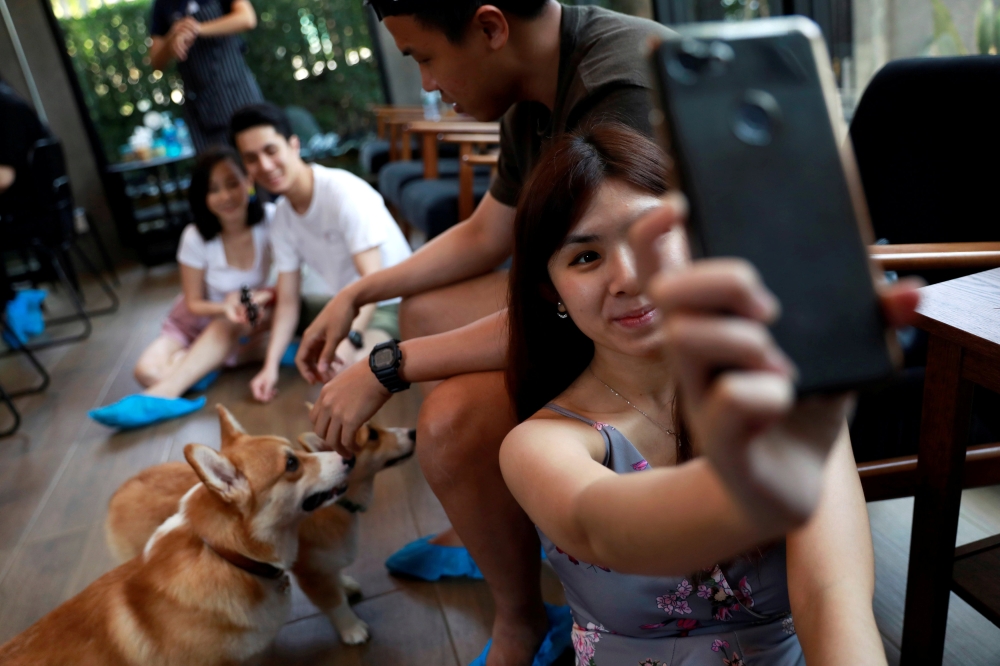 A woman takes a selfie with Corgi dogs at Corgi in the Garden cafe in Bangkok, Thailand. — Reuters