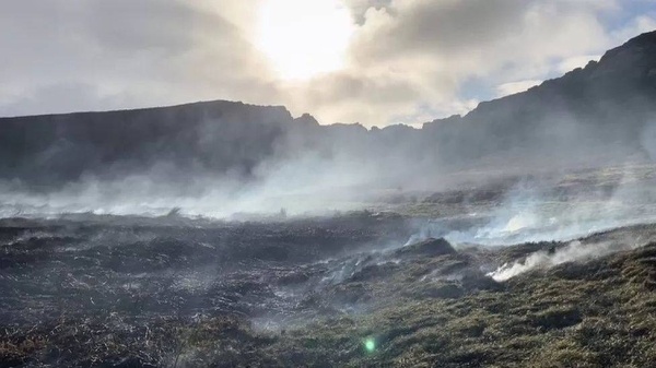 The fire, which broke out on Monday, affected nearly 60 hectares (148 acres).