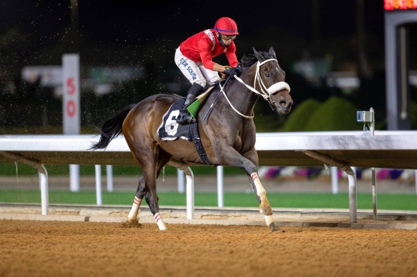 Filly Avalina won the last renewal of the Japan Cup.