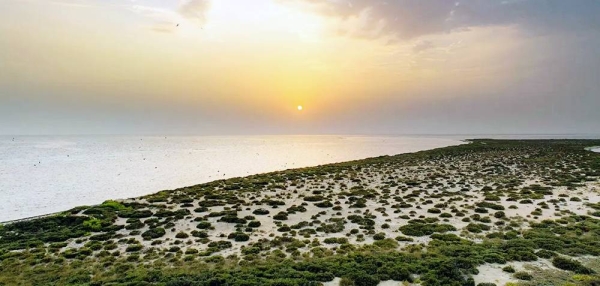 Umm Al-Oud Island, one of the most breathtaking islands, lies in the Red Sea specifically in Ras Mohaisen in the Makkah Region.