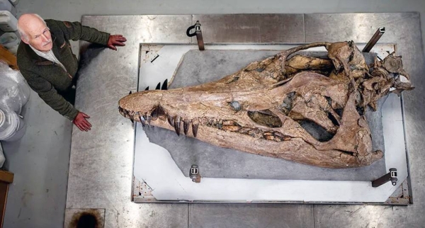 Steve Etches has the skull. Now he wants the rest of the animal’s body. — courtesy BBC/Tony Jolliffe
