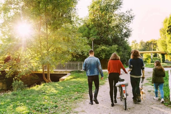 Staying active, socially connected and eating a healthy diet are all ways to reduce the risk of cognitive decline, experts say