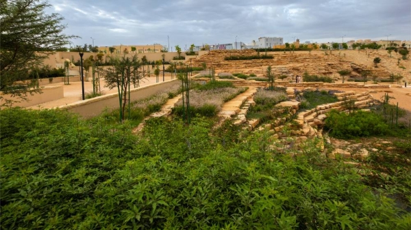 Green Riyadh Program announces rehabilitation of Ghudhwana tributary of Wadi Hanifa