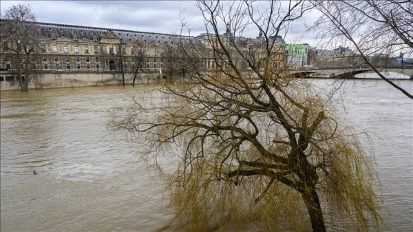 Heavy rainfall leads to flooding in Cannes