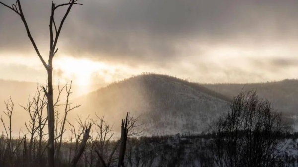 Lovisa Sjoberg went missing after driving into the Kosciuszko National Park to take photographs