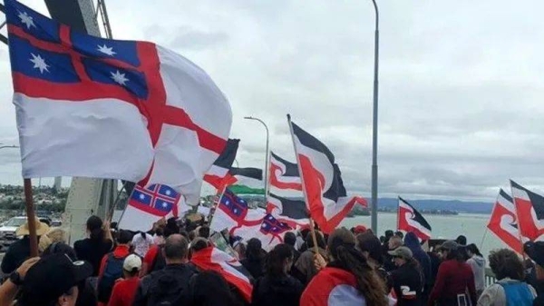 The protest march against the bill made its way through Auckland on Wednesday