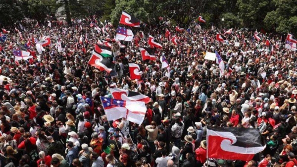 The hīkoi swelled dramatically as participants, many draped in colours of the Māori flag, marched through Wellington