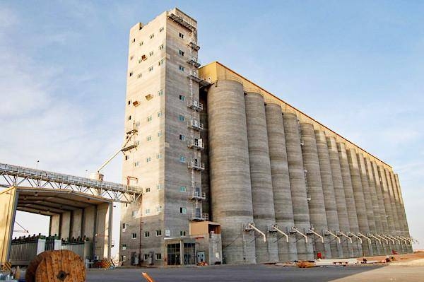 The Board of Directors of the General Food Security Authority (GFSA) has approved allowing licensed flour milling companies to export flour to global markets.