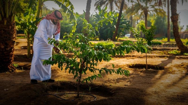 Taking place alongside the 16th session of the United Nations Convention to Combat Desertification (UNCCD COP16), the Saudi Green Initiative Forum will convene global leaders, climate experts, senior government officials, and industry CEOs to advance discussions and action on global climate challenges.