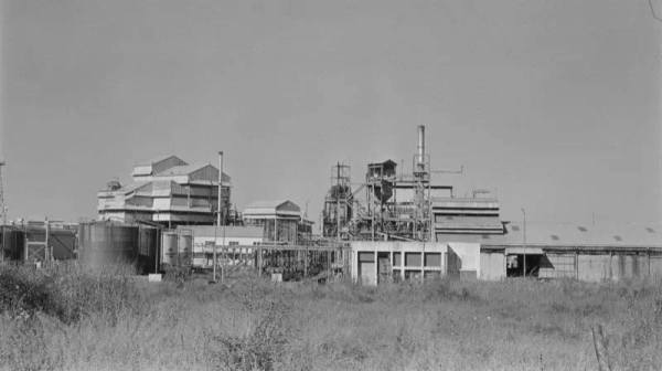 People exposed to the poisonous gas rest on a roadside on 4 December, 1984 in Bhopal