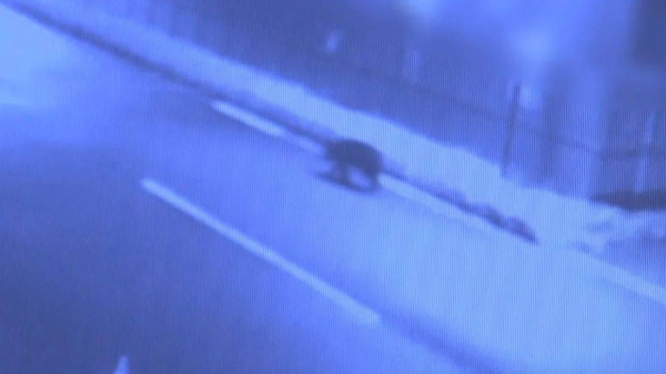 Police officers enter the supermarket to capture the bear in Akita, Japan on December 1, 2024