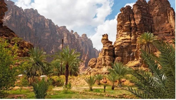 Saudi Arabia's protected land areas expanded by 7.1 percent, reaching 361,000 square kilometers during the year 2023 compared to 2022, representing 18.1 percent of the Kingdom's total land area.