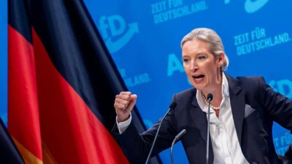 Alice Weidel - a 45-year-old economist who is in a same-sex relationship - has sought to polish the rougher edges of her party