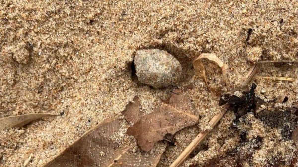 Nine beaches were closed on January 14 after the marble-sized balls started washing up