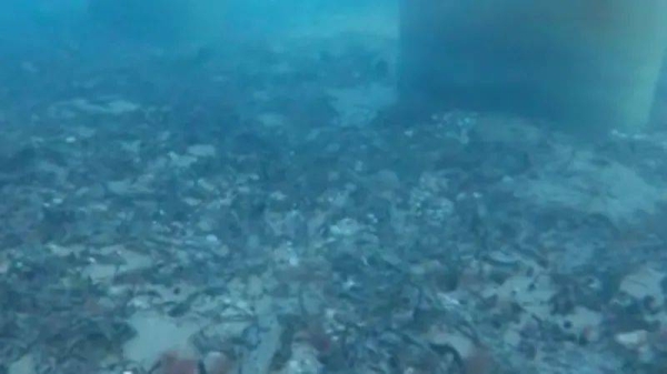 Underwater images captured by a Russian NGO appeared to show significant amounts of oil sitting on the ocean floor