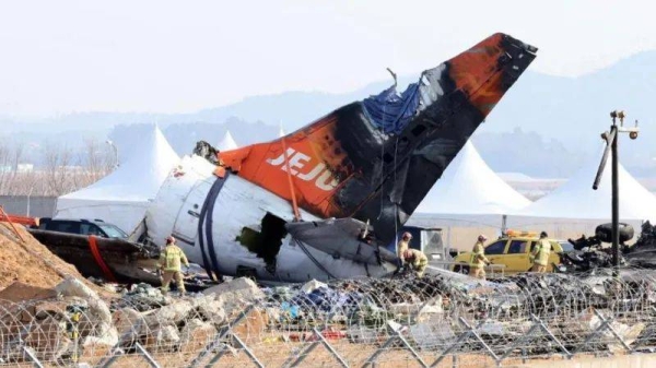 Feathers and blood stains belonging to the baikal teal were found on both engines of the crashed Jeju Air plane