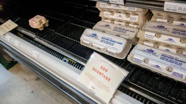 Eggs are seen in a grocery store with a sign saying egg shortage