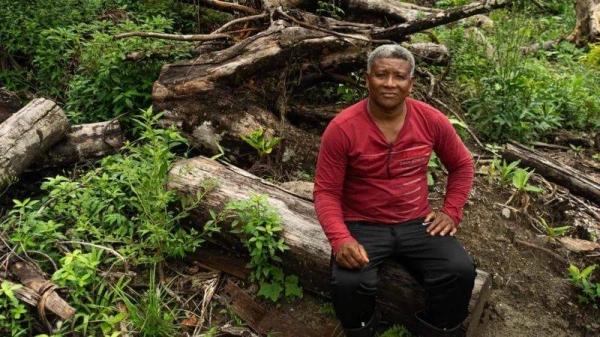 Claudio Verequete says the trees he harvested açaí from have been cut down