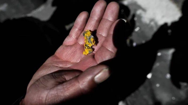 A gold nugget seen on the hand of a miner in the gold mines of La Rinconada, Peru