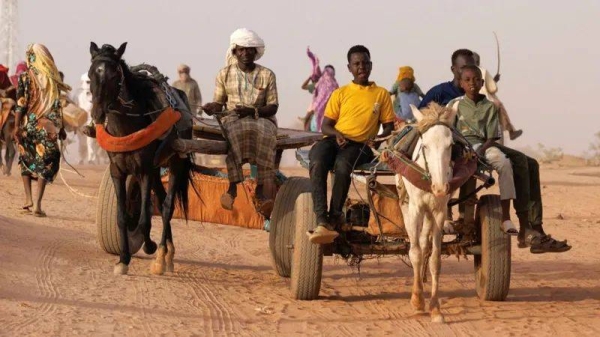 Hundreds of thousands have been forced from their homes in Sudan and fled across the border to Chad