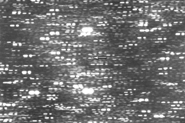 The Virtual Telescope Project captured an image of the object on Wednesday