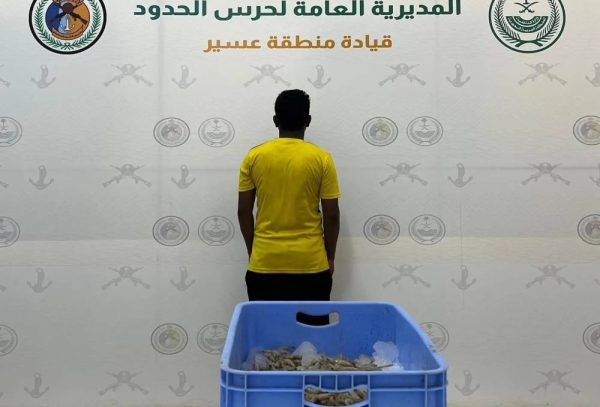 Bangladeshi expat caught fishing illegally off Asir coast