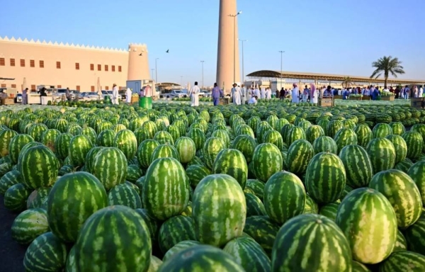 Saudi Arabia’s watermelon harvest tops 610,000 tons