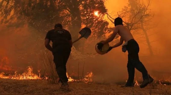 Greece battles five major wildfires as heatwave pushes temperatures to 44°C