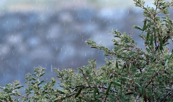 Civil Defense warns of heavy rains, flooding risk in parts of Saudi Arabia