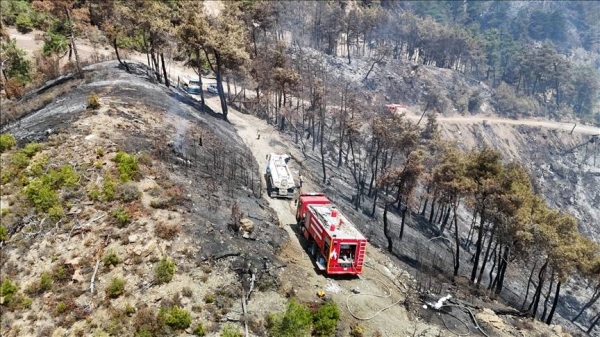 Syria extinguishes Latakia and Hama wildfires after days of efforts