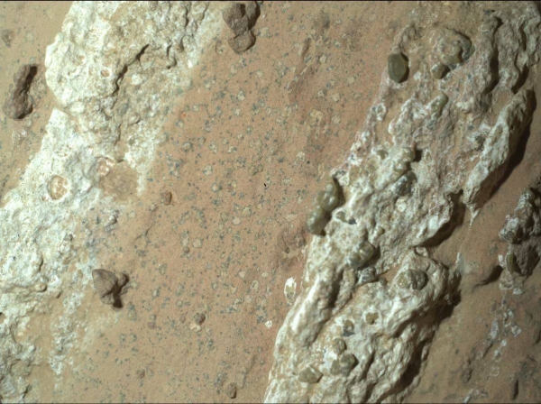 NASA’s Perseverance rover discovered leopard spots on a reddish rock nicknamed Cheyava Falls in Mars’ Jezero Crater in July 2024