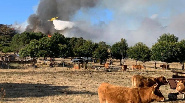 A firefighter plane drops water on a recent wildfire