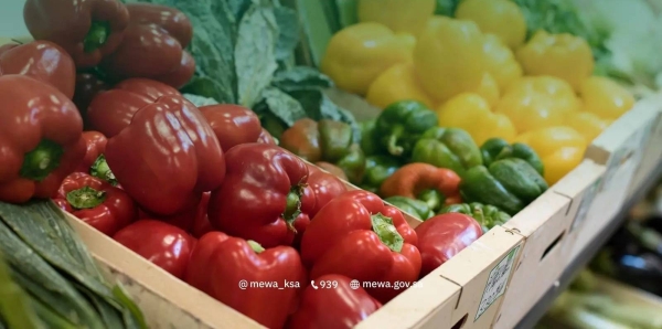The Ministry of Environment, Water and Agriculture has announced specific regulations and requirements for the packaging and labeling of fruits and vegetables meant to be sold in public markets.
